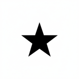 AUTHENTIC MILITARY ISSUE